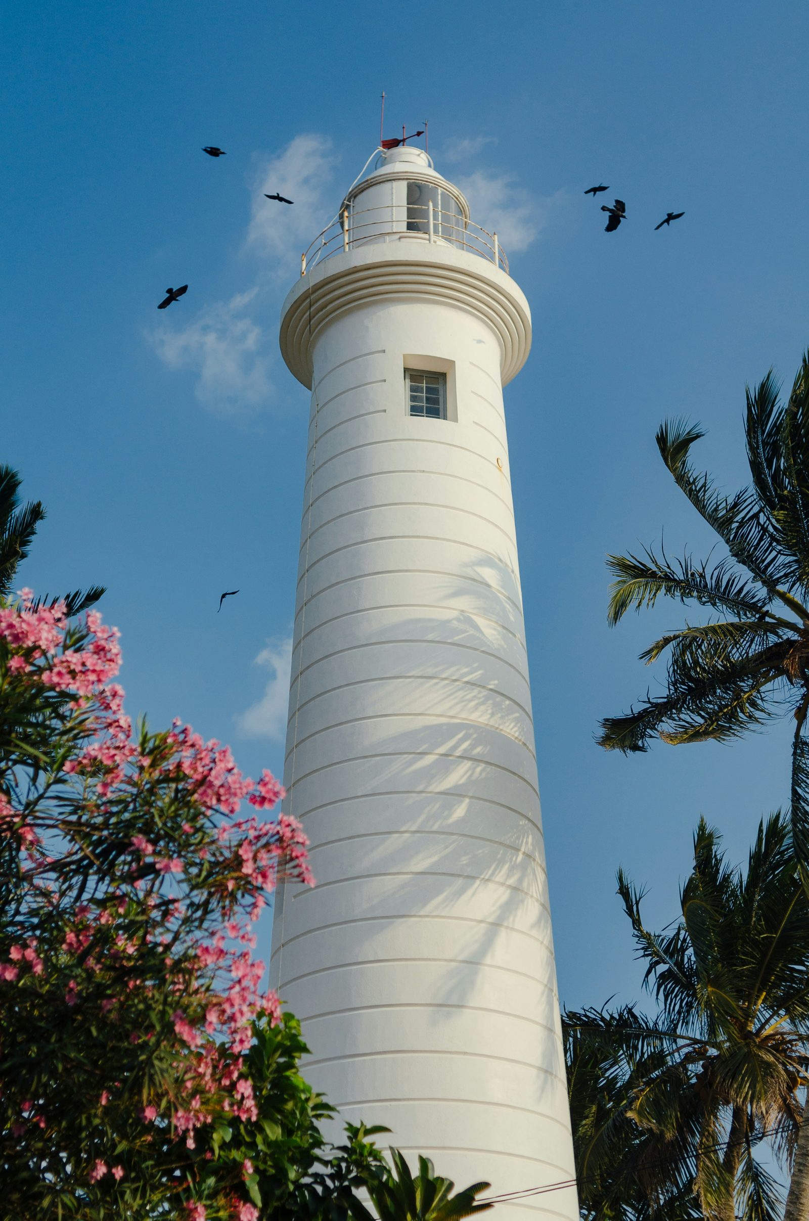 Galle lighthouse and palm trees in southern Sri Lanka