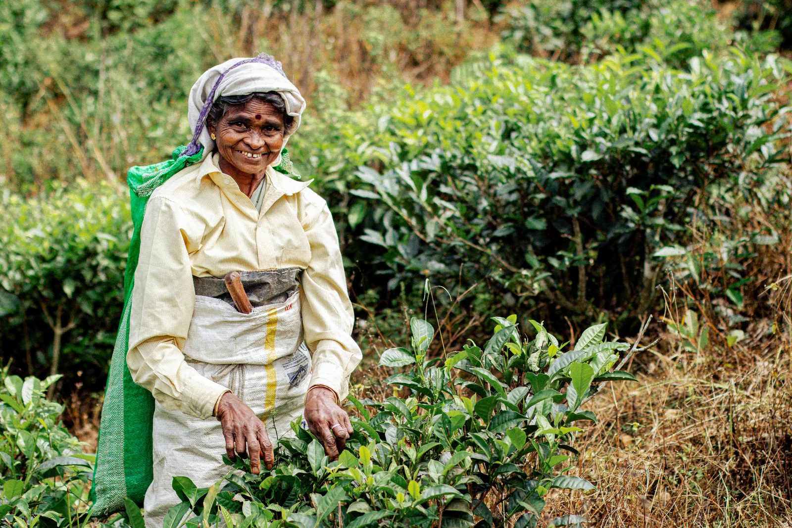 Tea country landscape and local life in Sri Lanka